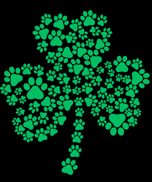 Holt County Animal Shelter Fundraiser